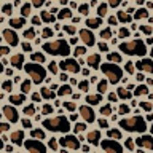 Meet your Posher, Kaylee